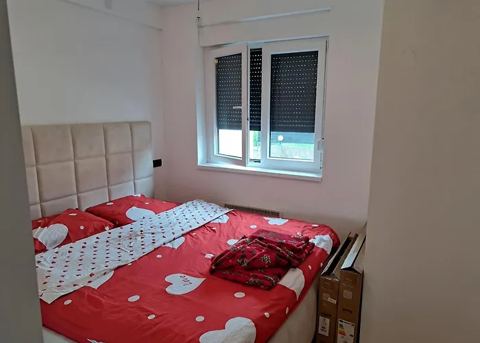 Ana زلاتيبور